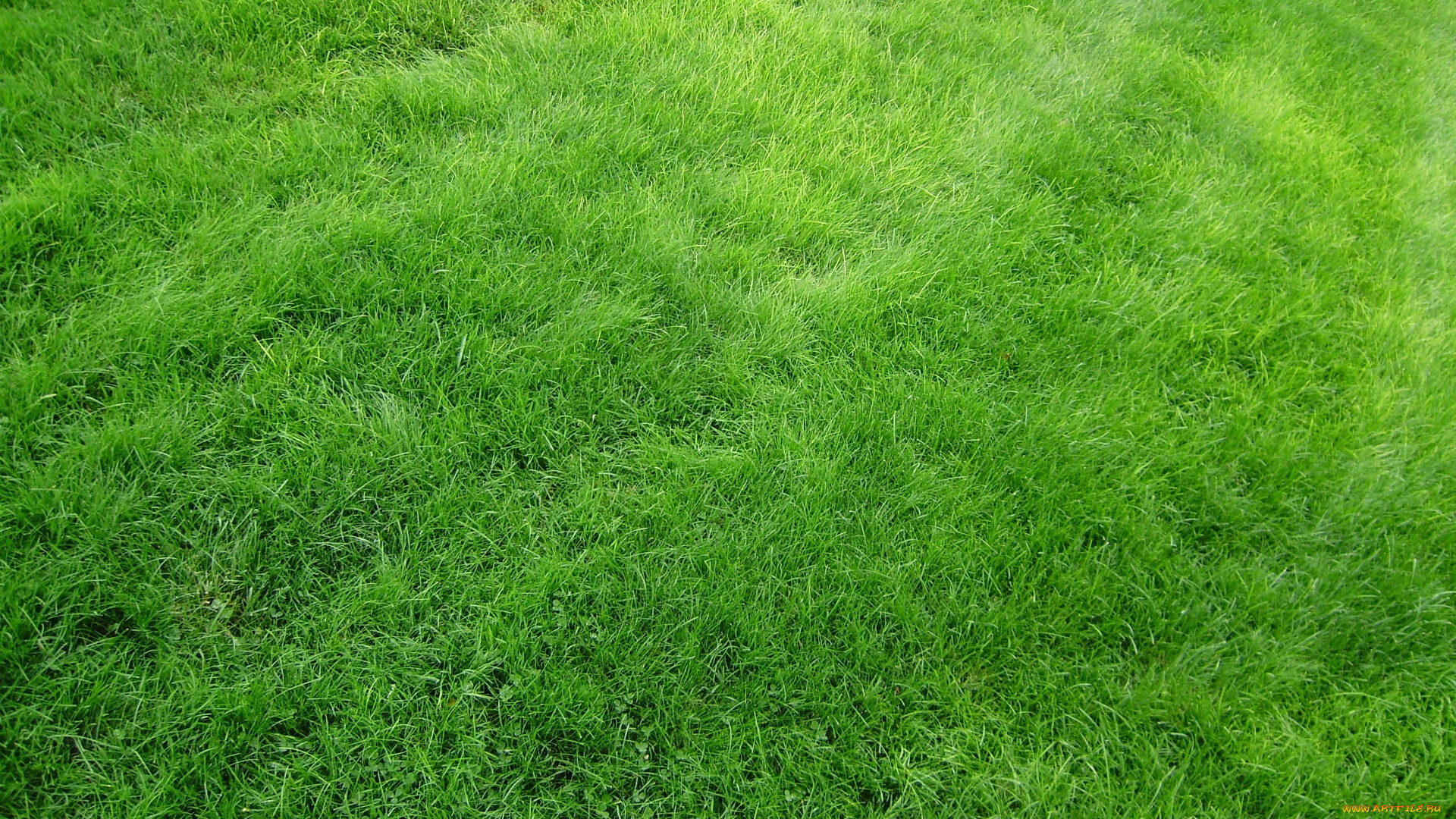 , , , , 